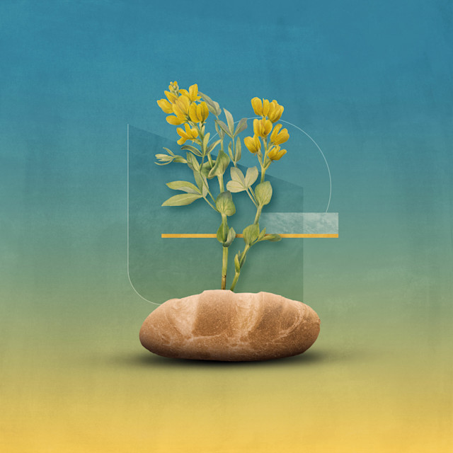 How-Is-Jesus-the-Bread-of-Life_2560-2